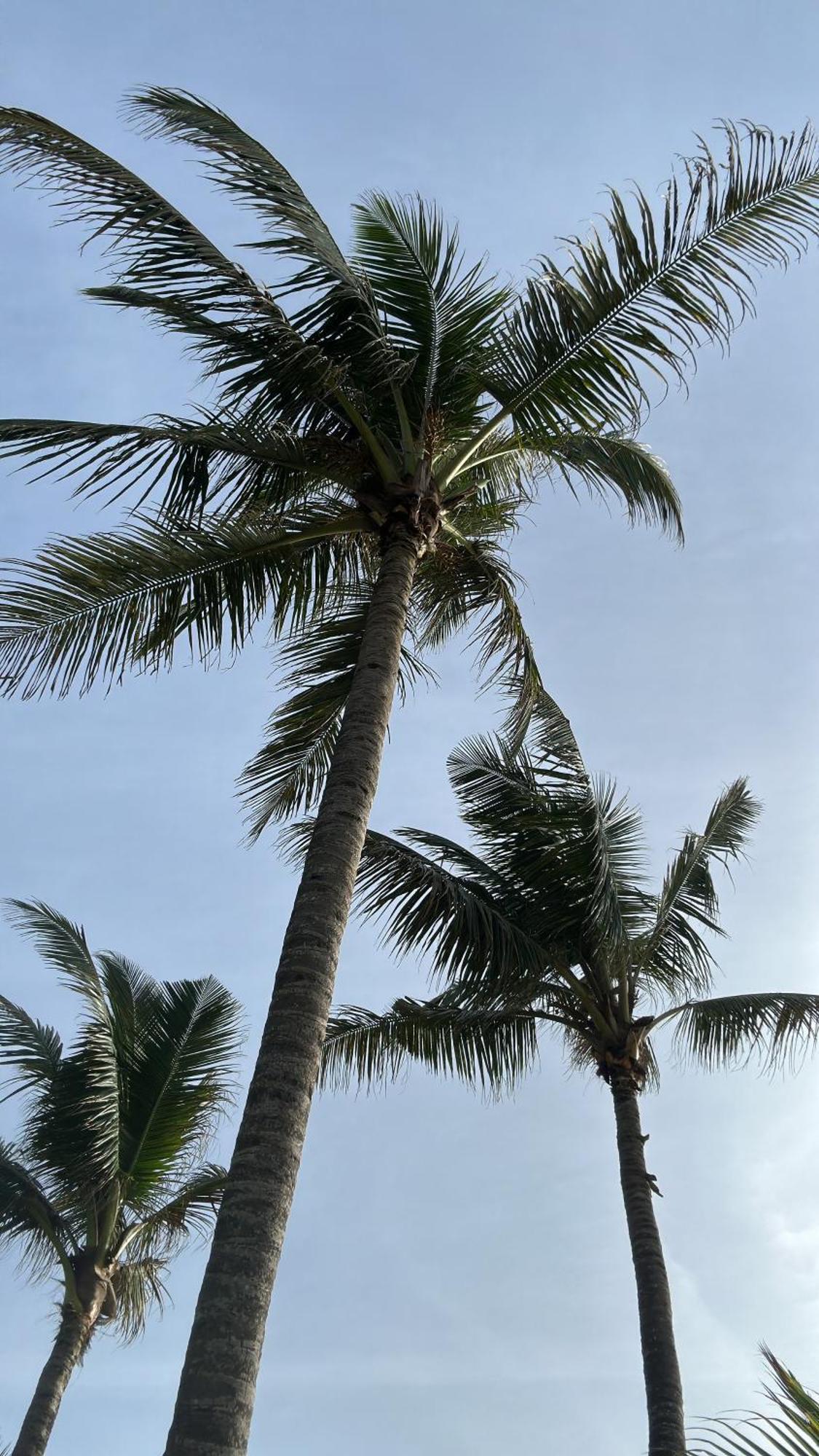 Poya Villa Ahangama Exterior foto